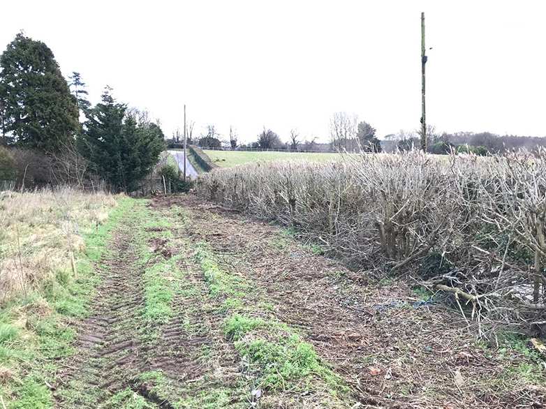Deer Fence on Chestnut Posts - Suffolk Estate - 2