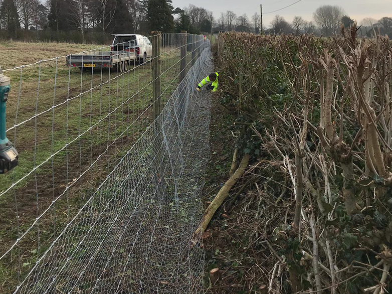 Deer Fence on Chestnut Posts - Suffolk Estate - 4