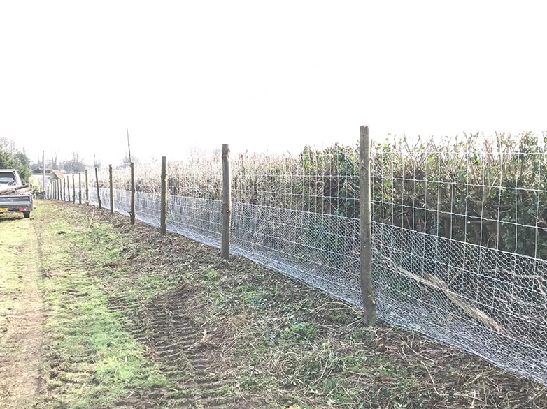 Deer Fence on Chestnut Posts - Suffolk Estate - 5