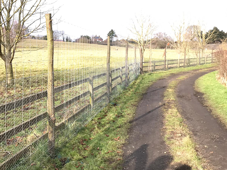 Deer Fence on Chestnut Posts - Suffolk Estate - 6