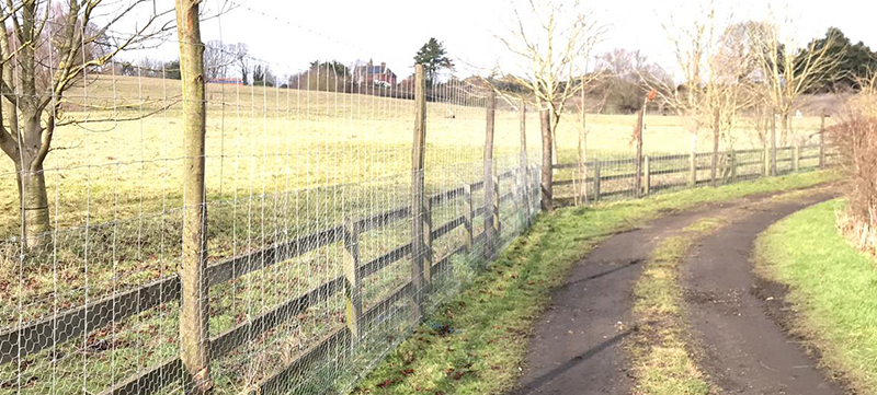 Deer Fencing Installed on Chestnut Posts in Suffolk