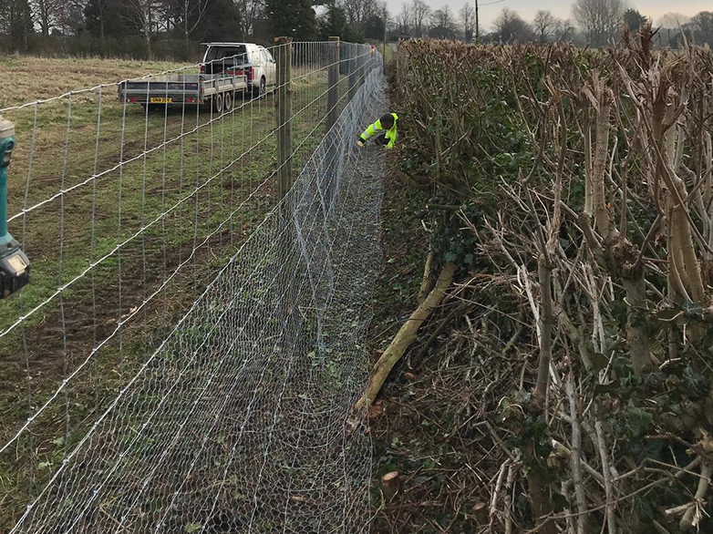 Chestnut Post Deer Fence Installation