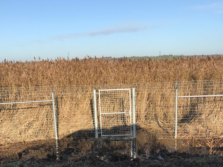 Ultimate Predator Fence - RSPB Wetland Reserve - 1