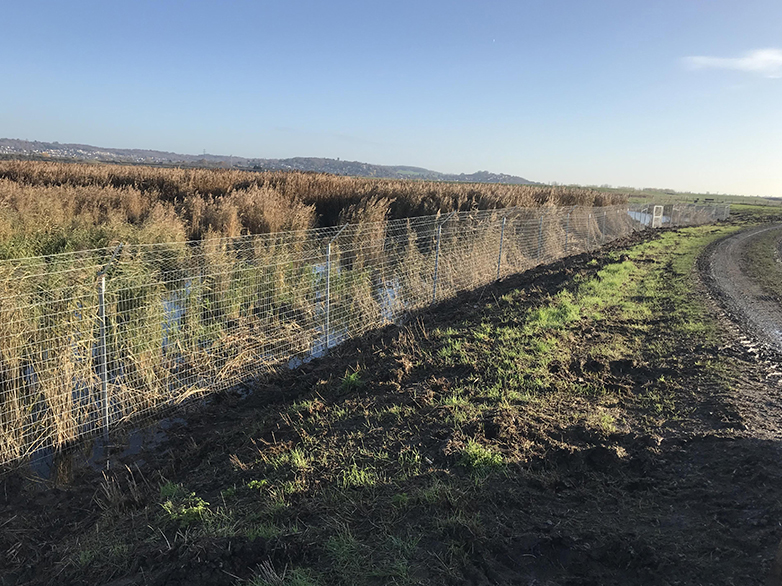 Ultimate Predator Fence - RSPB Wetland Reserve - 11