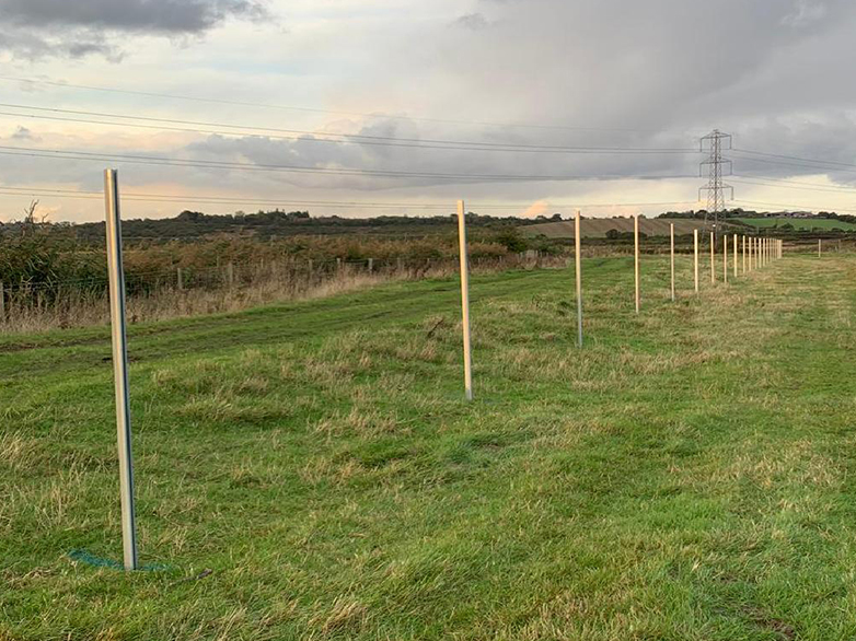 Ultimate Predator Fence - RSPB Wetland Reserve - 4