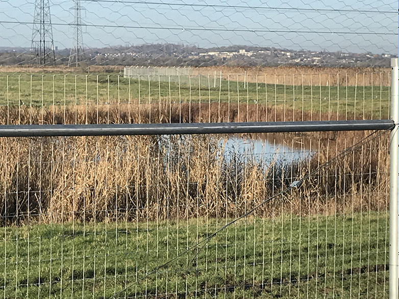Ultimate Predator Fence - RSPB Wetland Reserve - 6
