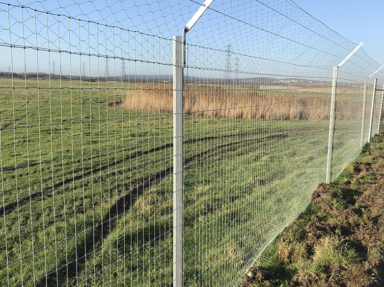 Predator Fence Built Through Reeds and Waterlogged Ground