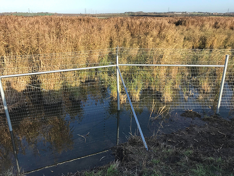 Predator-Proof Gate and Ditch Crossing on Wetland