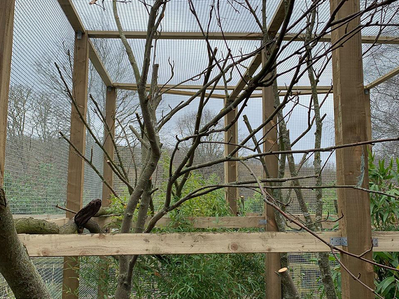 West London Zoo Enclosures Project - 5