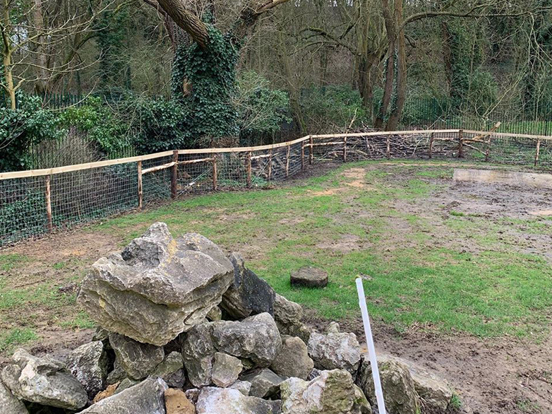 West London Zoo Enclosures Project - 6