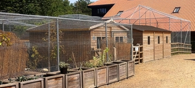 Zoo enclosures built with wire netting for wild cats and lemurs