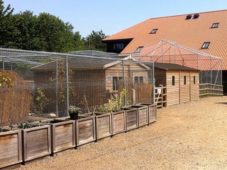 Wire netting enclosure construction for zoo animals