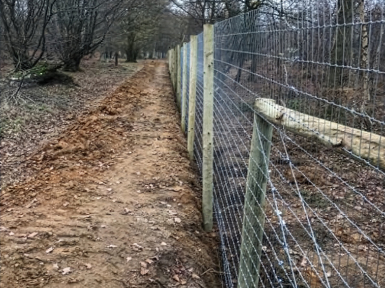Wolf Fencing - Wildlife Containment - 4