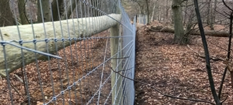 Wolf Fence Installation at Wildlife Facility