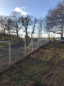 Orchard Fencing
