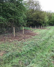 Stock Fencing - Essex Wildlife Trust