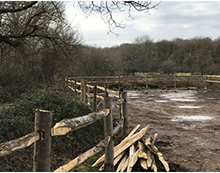 Rustic Cleft Chestnut Post & Rail Fencing