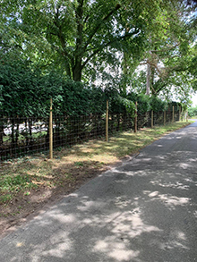 Deer Fence in Wooded Area