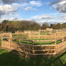 Foal Turnout Pens