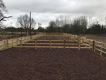 Foal Paddocks