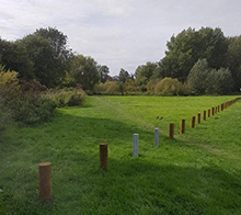 Timber Bollard Protection