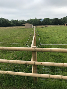 Ultimate Horse Fencing