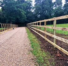 Custom Dog Fencing