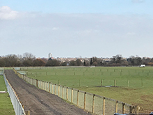 Horse Grazing Compartments