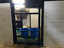 Custom Goat Pens - Part 3