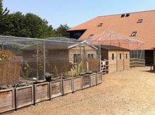 Wild Cat & Lemur Enclosures