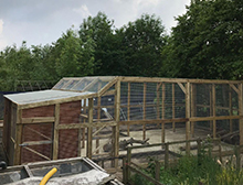 Lemur Enclosure