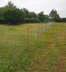 Alpaca Fence
