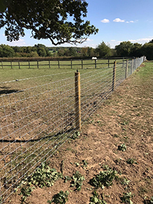 Equestrian Electric Fence