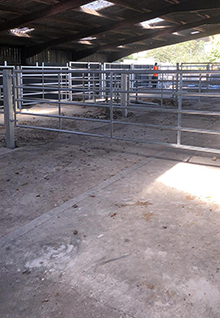 Cattle Handling System - Part 1
