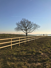 Post & Rail
