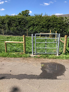 Pig Stock Fence
