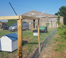 Poultry Enclosure