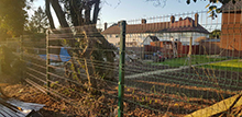 Allotment Mesh Fencing