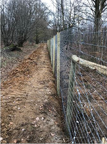 Wolf Fencing