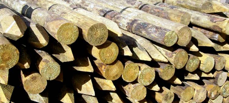 Image of Peeled &amp; Machined Round Timber available from Farm and Country Fencing