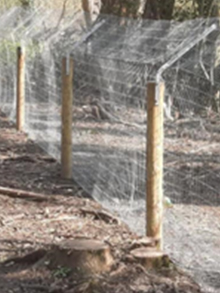 Beaver Fencing