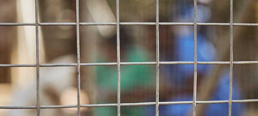 Image of Weldmesh panels