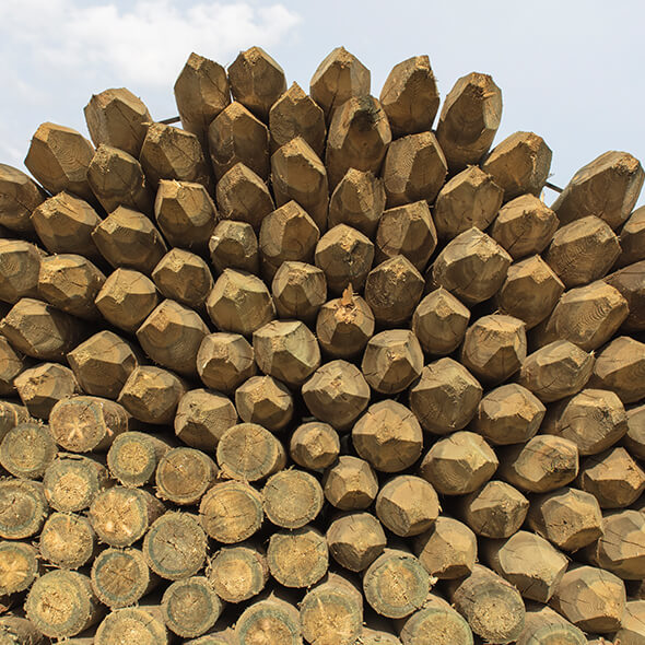 Image of Peeled &amp; Machined Round Timber 2