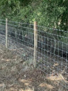 Stock Fencing with Barbed Wire