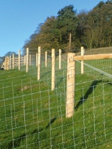 Stock Fencing