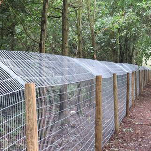 Image of Stock Wire 2