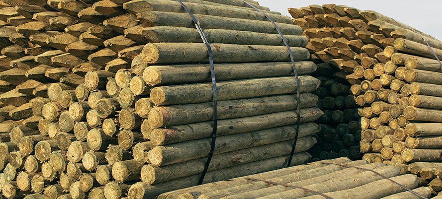 Image of Peeled &amp; Machined Round Timber