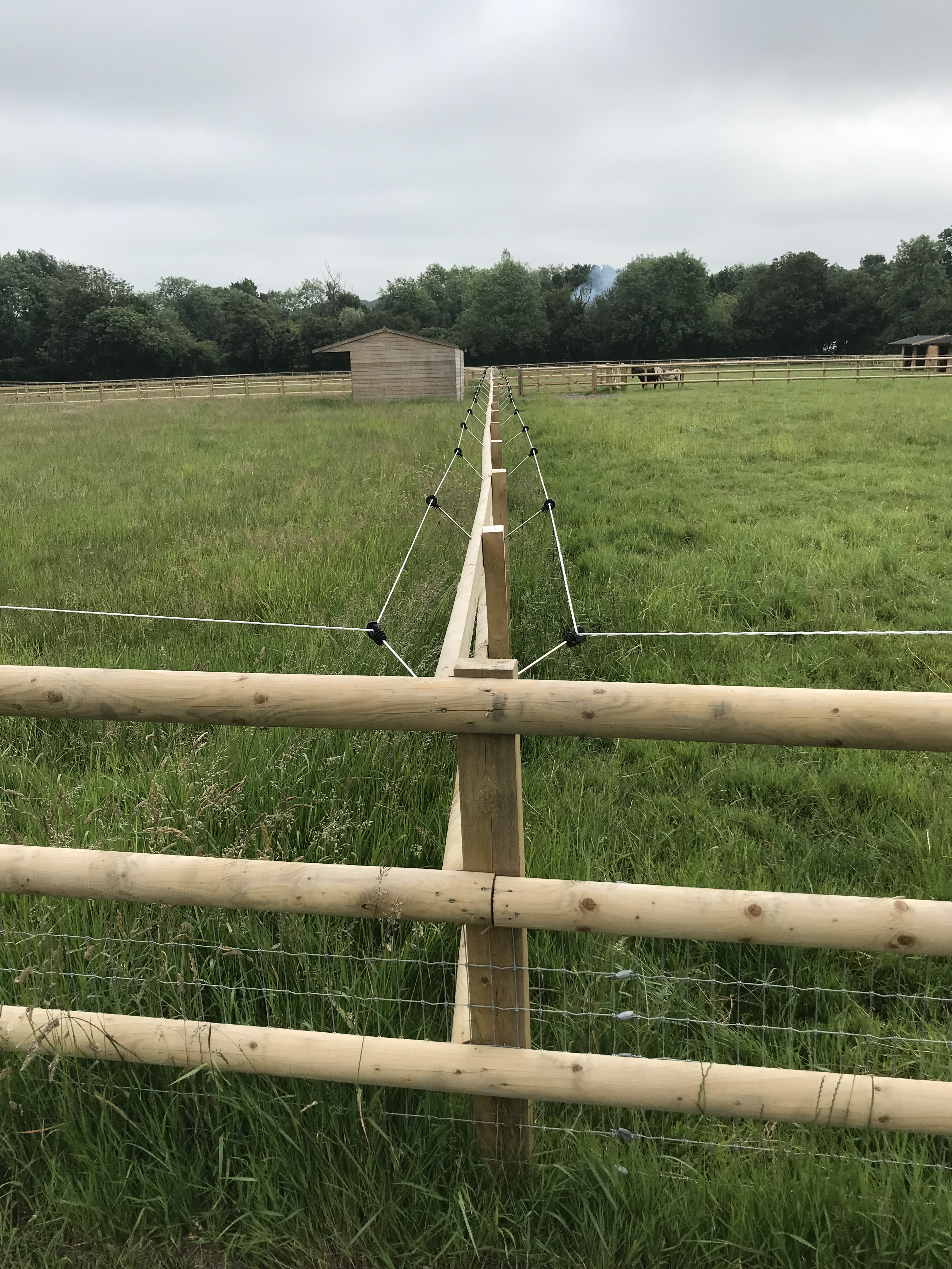 Image of beautifully crafted closeboard fencing