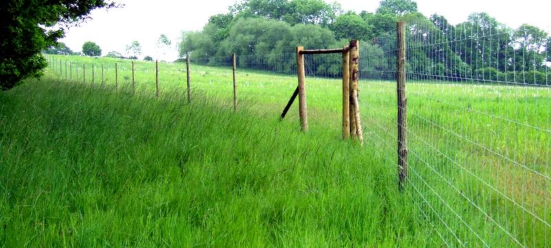 Deer Fence