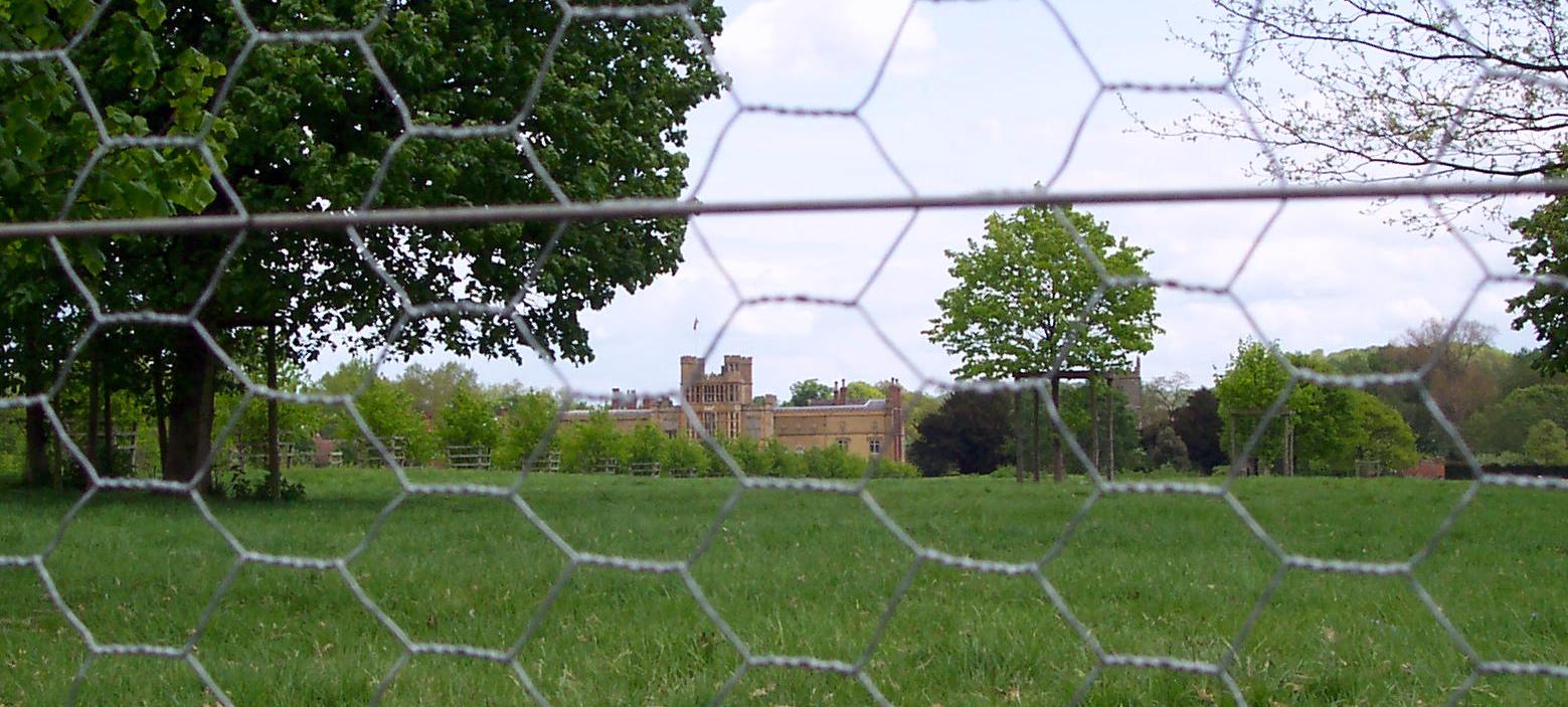 rabbit netting